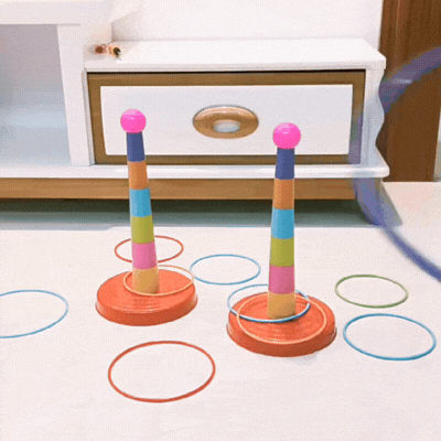2-in-1 Ringwurf & Stapelspiel – Lernen, Spielen & Bewegung