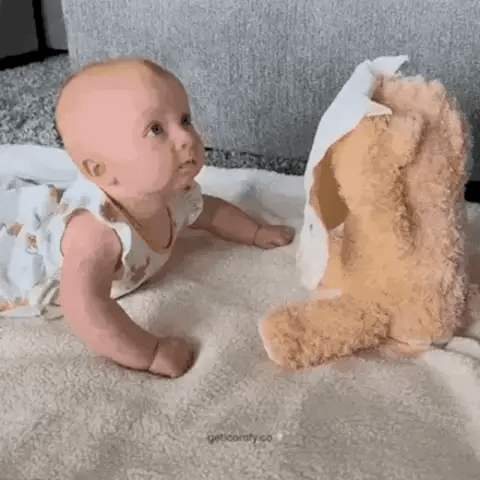 Interaktiver Peek-a-Boo Teddybär für endlosen Spielspaß