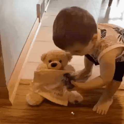 Interaktiver Peek-a-Boo Teddybär für endlosen Spielspaß