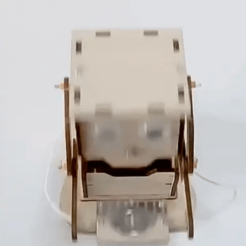 DIY Roboter Bausatz für Kinder – STEM Lernspielzeug aus Holz