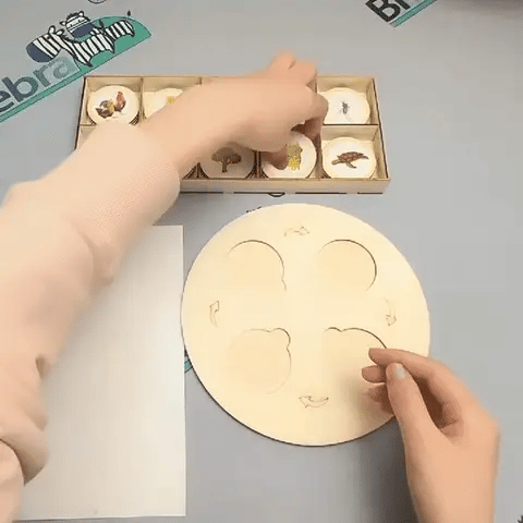 Montessori Lebenszyklus-Satz – Tiere & Pflanzen spielend verstehen