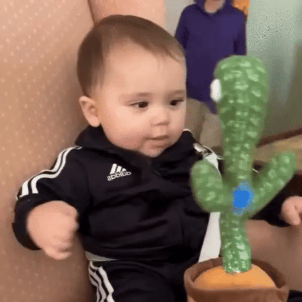 Lustiger Cactus, der spricht, singt & mit dir tanzt