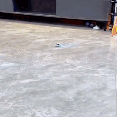 Mini-Auto am Handgelenk – Steuer-Spaß & Technik in Einem!