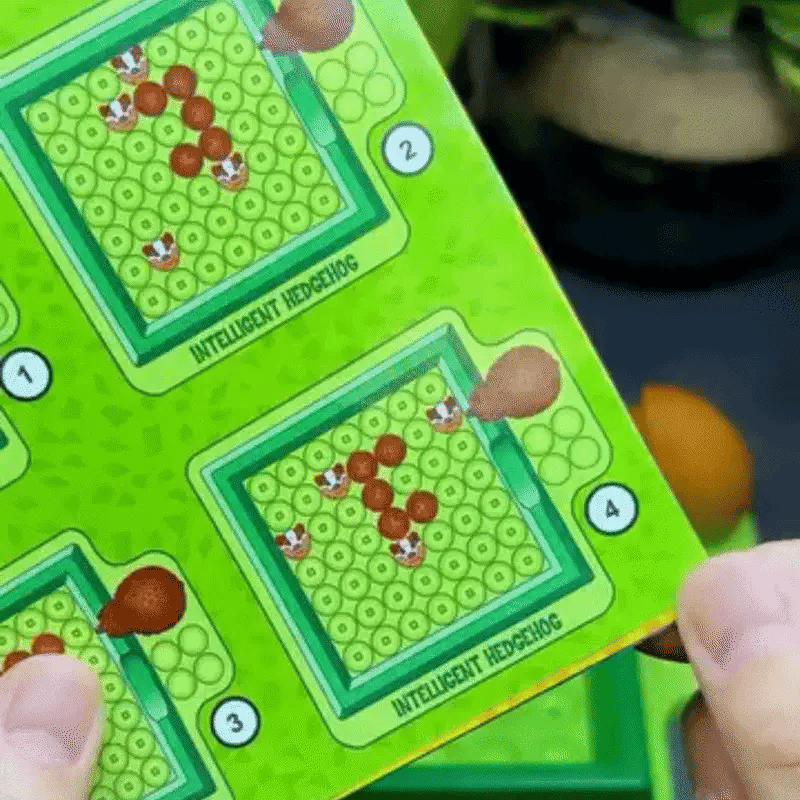 3D Igel Denkspiel – 50 clevere Puzzle Aufgaben