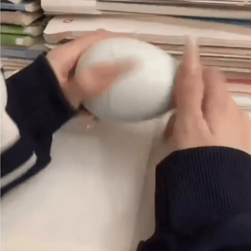 Springen Ei Ente– Das niedliche Hüpf-Ei für Spaß, Lachen & staunende Kinder!