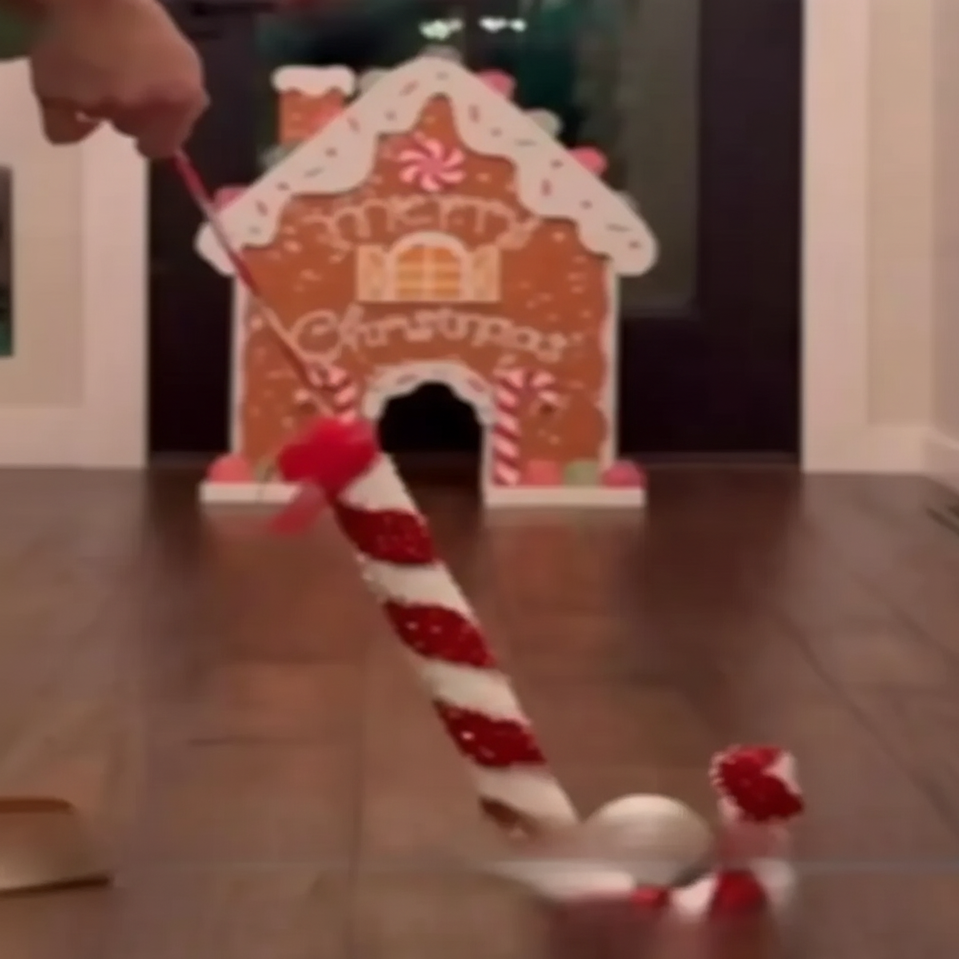 Weihnachts-Golfspiel-Satz – Innenbereich - und Im Freien-Familienspaß