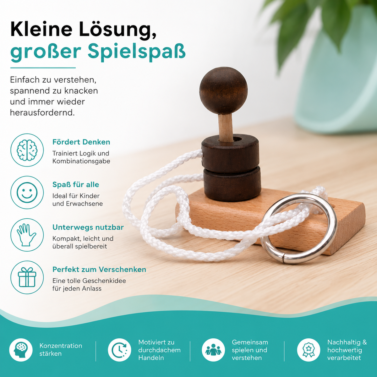 Holz Denkspiel IQ Puzzle – Knobelspiel für Kinder & Erwachsene