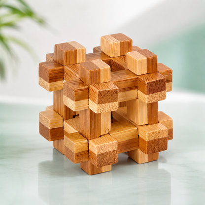 Holz IQ Puzzle – Kong Ming Denkspiel für Kinder & Erwachsene Tic Tac Toe