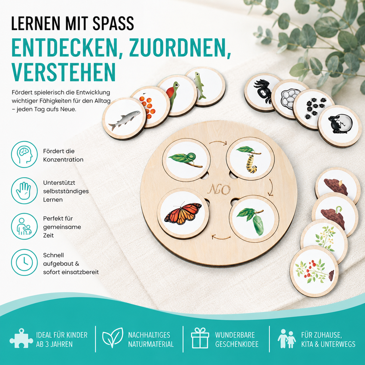 Montessori Lebenszyklus-Satz – Tiere & Pflanzen spielend verstehen