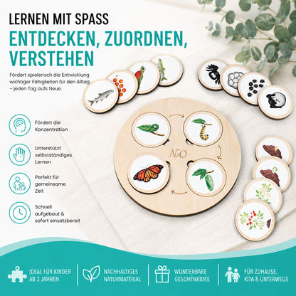 Montessori Lebenszyklus-Satz – Tiere & Pflanzen spielend verstehen