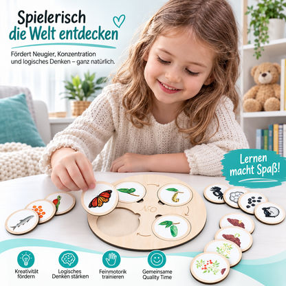 Montessori Lebenszyklus-Satz – Tiere & Pflanzen spielend verstehen