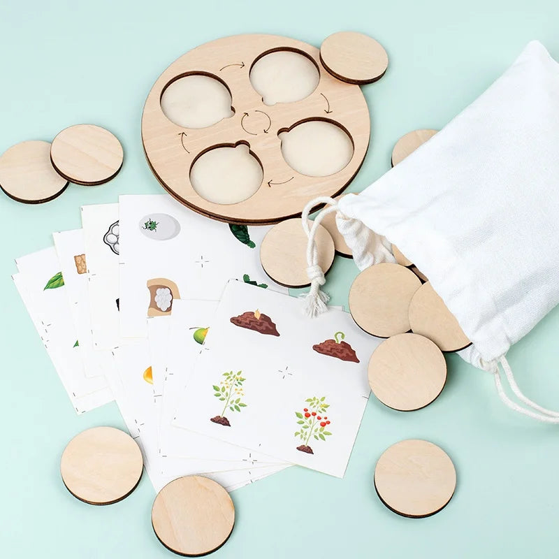 Montessori Lebenszyklus-Satz – Tiere & Pflanzen spielend verstehen