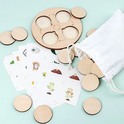 Montessori Lebenszyklus-Satz – Tiere & Pflanzen spielend verstehen