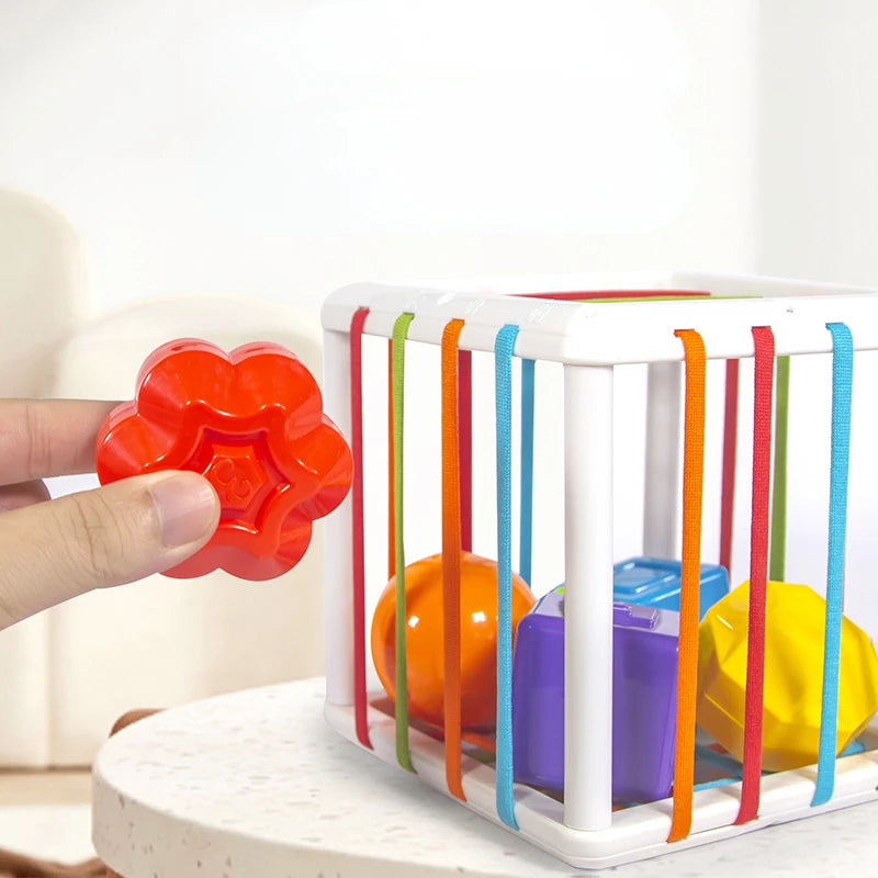 Montessori Regenbogen-Spielzeug