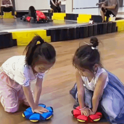 2-in-1 UFO Frisbee und Ball – Das perfekte Wurfspielzeug für Draußen