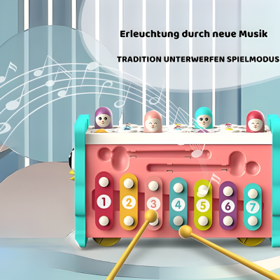 Montessori 8-in-1 Lernspielzeug für Babys & Kleinkinder