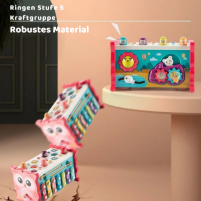 Montessori 8-in-1 Lernspielzeug für Babys & Kleinkinder