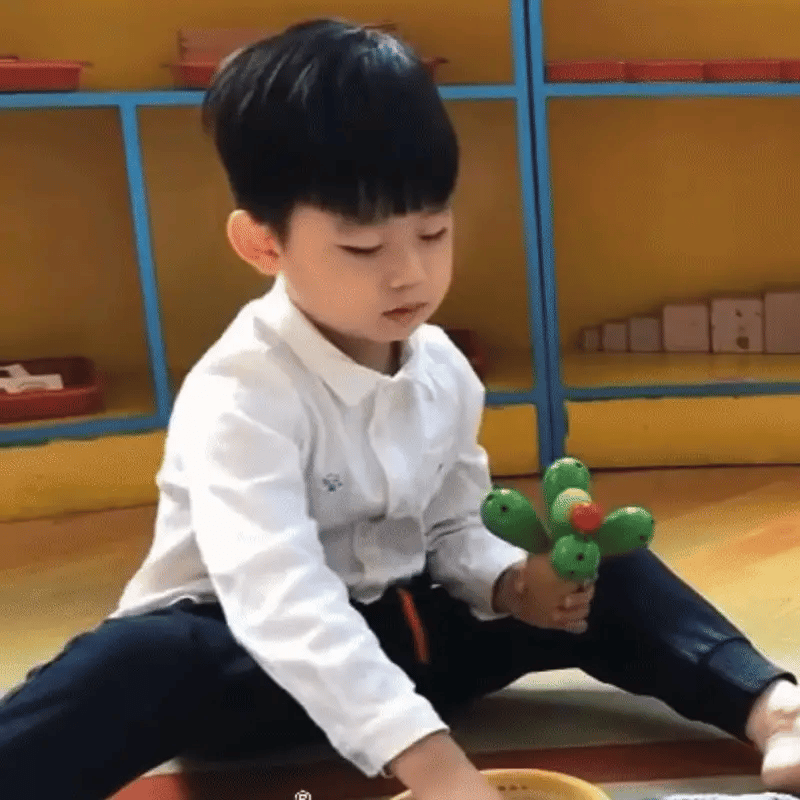 Montessori Kaktus Bau-Satz – Kreativität & Geschick spielerisch fördern
