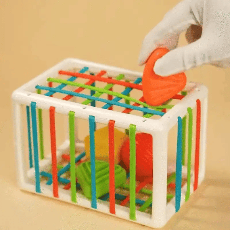 Montessori Regenbogen-Spielzeug